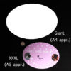 Oval Door Plaques - Image 4