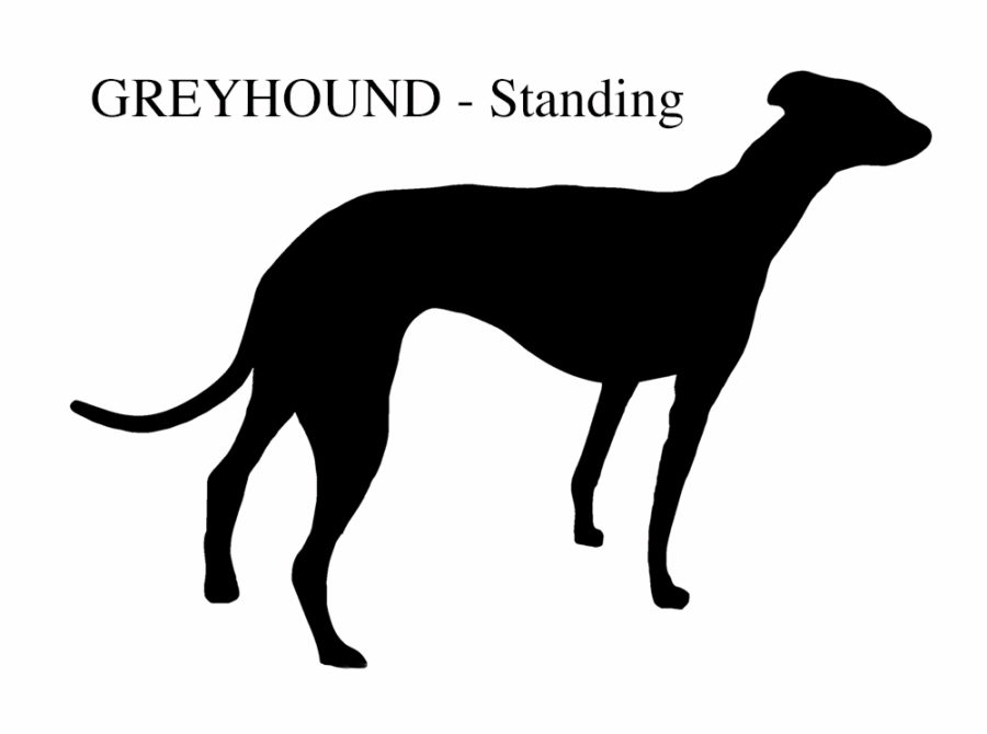 Greyhound Shape Dog Shape - Greyhound (Standing or Running) - Subli Metals Ltd