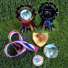 'Laurel' Display Medal with 24.5mm insert (with optional red/white/blue ribbon) - Image 3