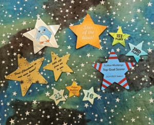 Super Stars (5 pointed) - PRICE DROP July '25! - Image 4