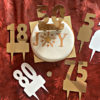 Cake Topper range - Numbers (custom cut)