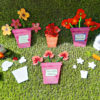 poppy buttercup