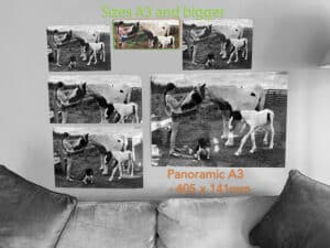 UPDATED! Alu sheet – A3 Panoramic  - RICOH / SAWGRASS print area – 141 x 405 mm