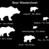 Bear Shape - Image 6