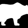 Bear Shape - Image 7