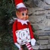 Elf On The Shelf Gift Set NOW with ARTWORK INCLUDED! - Image 4