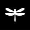 Delightful Dragonfly - Image 2