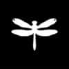 Delightful Dragonfly - Image 3