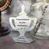 Freestanding Trophies and Awards - Large - A6 approx. - Image 13
