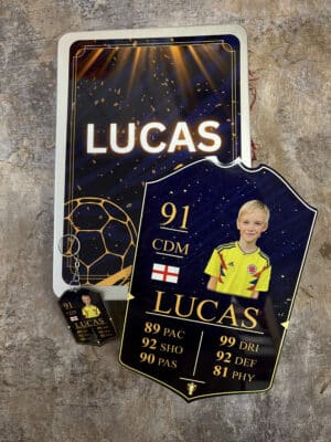 FIFA Shield Luxury Gift Set