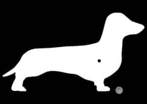'Animals' Fancy Shaped Wall Clocks - Image 20