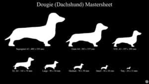 Dougie The Dog! (Dachshund Shape)