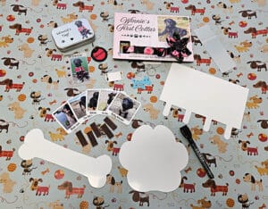 Pet Starter Pack - Dog