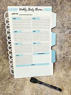 Spiral Notebook and Folder Tab Shapes - Image 2