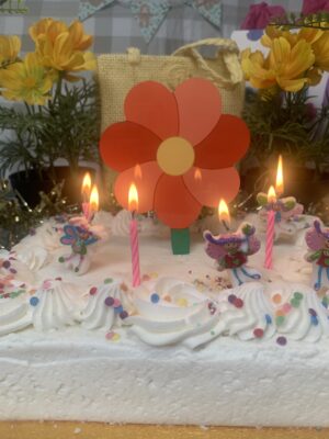 Cake Topper Range - Birthdays and Celebrations (Custom Cut) - Image 13