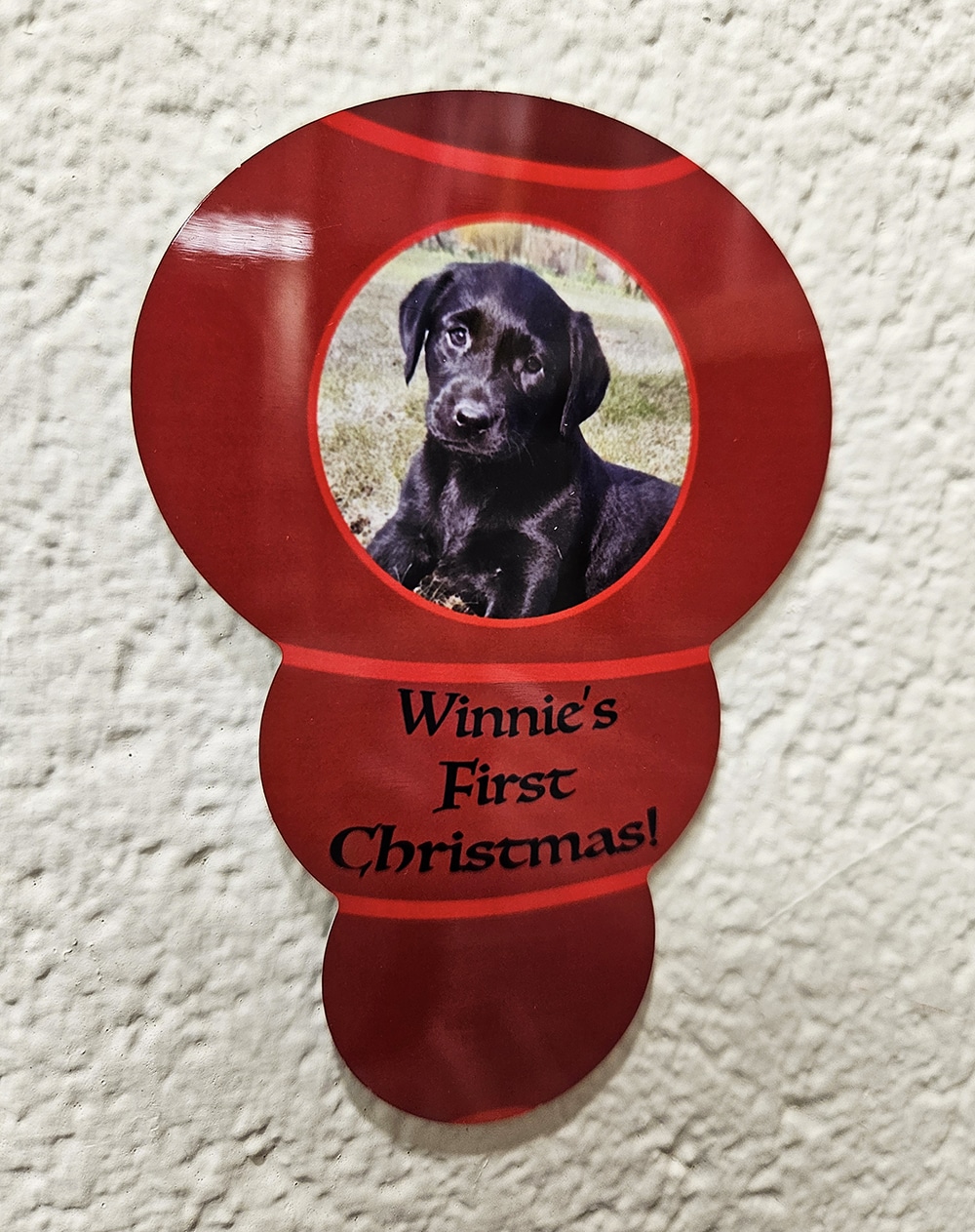 Dog Toy Shapes! - Image 2