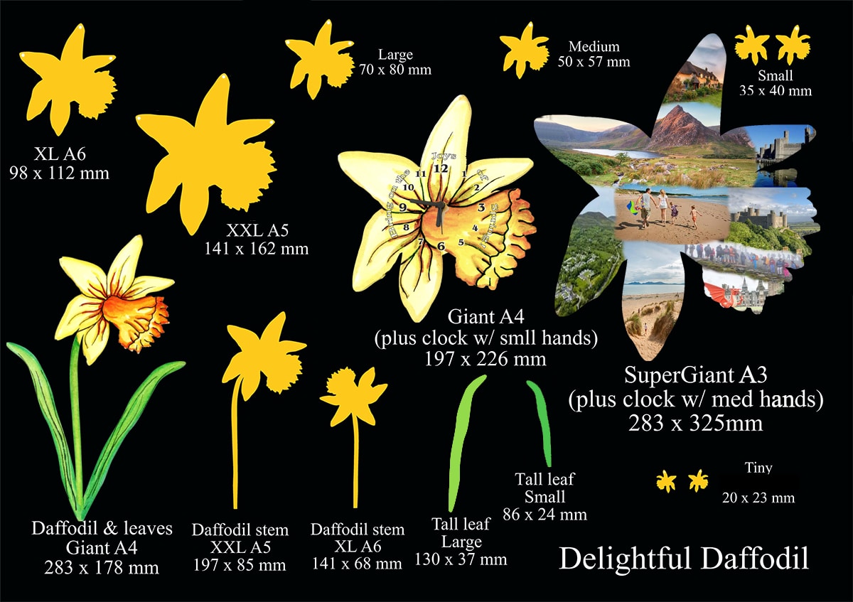 Delightful Daffodil
